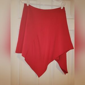 Express Red Skirt